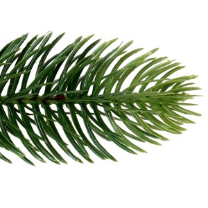 Detailný záber: Vetvička zeleného umelého vianočného stromčeka Nagano, 150 cm, na vianočnú dekoráciu.