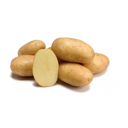 GardenSeed Premium Sadbové zemiaky Ranomi 2,5 kg