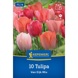 Kiepenkerl Darwin-Hybrid tulipány Van Eijk Mix, 10 cibuliek. Ružové, červené, oranžové kvety tulipánov na obale.