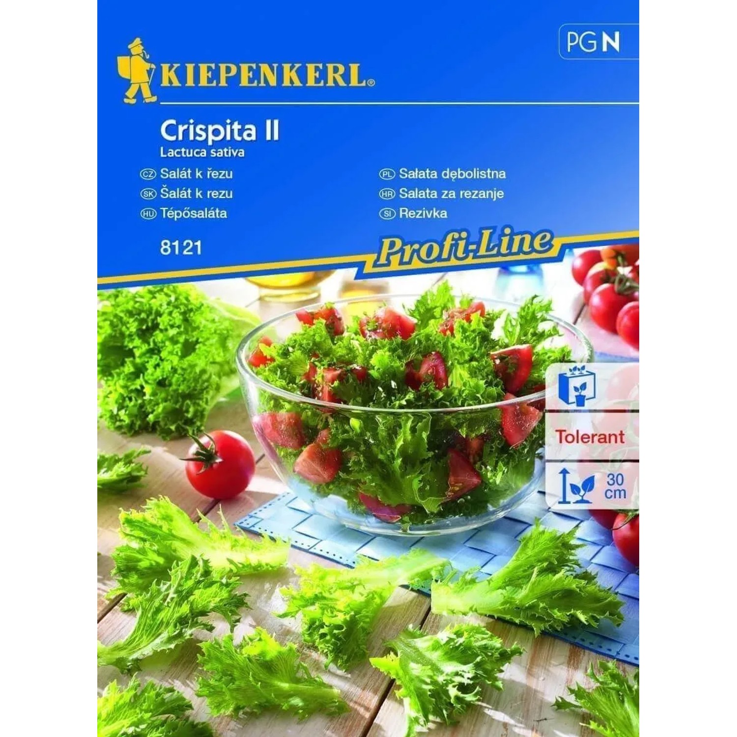 E-shop Kiepenkerl Semená Šalát k rezu Crispita II