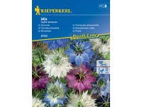 Kiepenkerl Semienka Černuška damašská mix