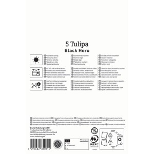 Biele balenie cibuliek tulipánov Kiepenkerl 'Black Hero', 5 kusov, s pokynmi na výsadbu.