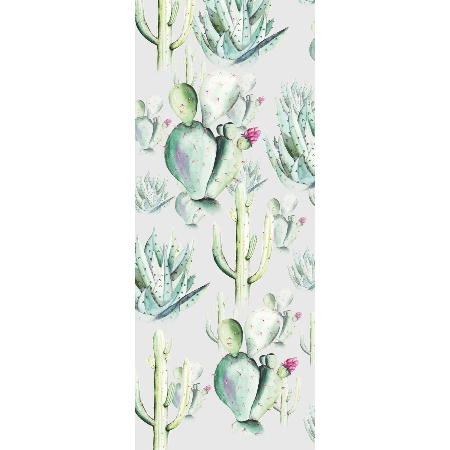 E-shop Komar Vliesová fototapeta Cactus Grey 100 x 250 cm