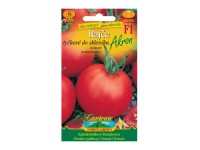 Gardenie Rajčiak kolíkový do skleníka AKRON F1 - hybrid