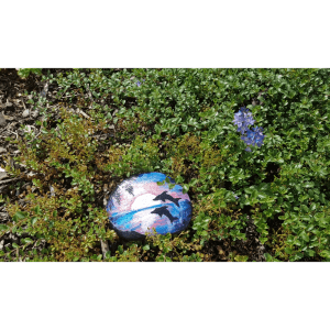 Maľovaný kameň s motívom delfína, hobby farba. Kreatívna dekorácia do záhrady.