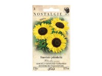 Nostalgie Slnečnica ročná jednoduchá žltá Nostalgie Slnečnica ročná jednoduchá žltá