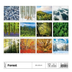 Helma 365 Nástenný mesačný kalendár 2027 Forest 30 x 30 cm