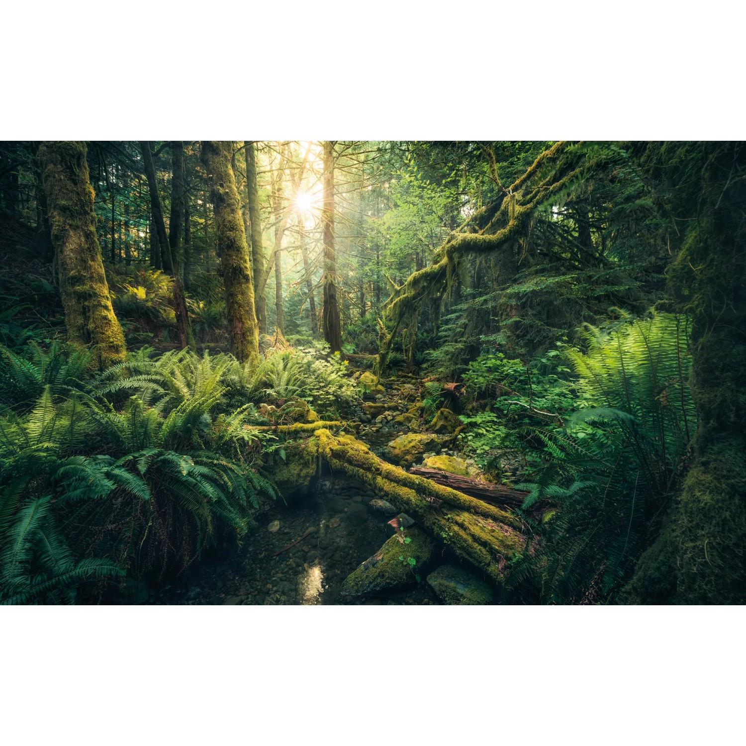 E-shop Komar Vliesová fototapeta Elves Cathedral 450 x 280 cm