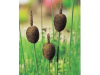 OBI Pálka najmenšia hnedá priemer kvetináča cca 18 cm