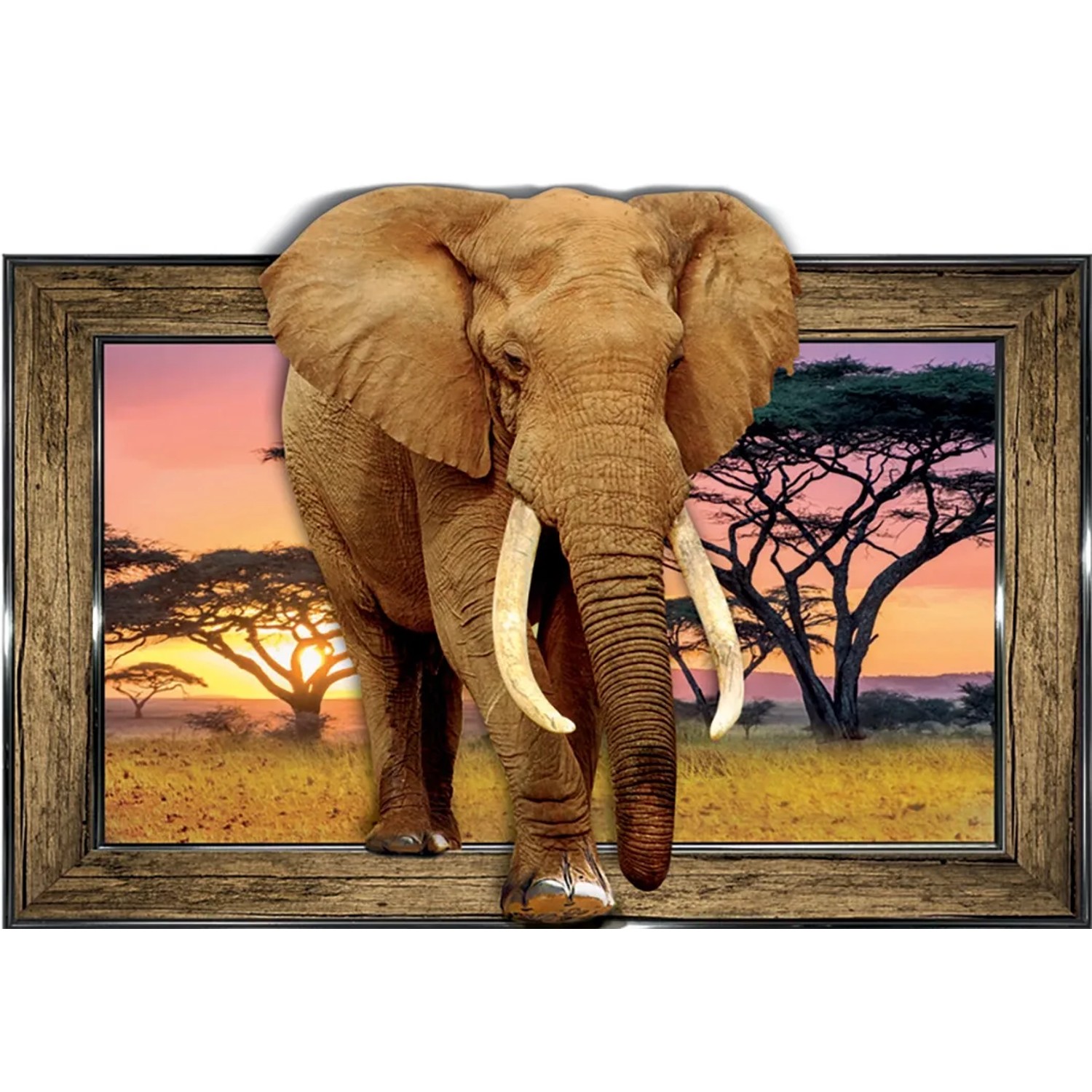 E-shop Bondecor Obraz 3D Elephant 30 x 40 cm