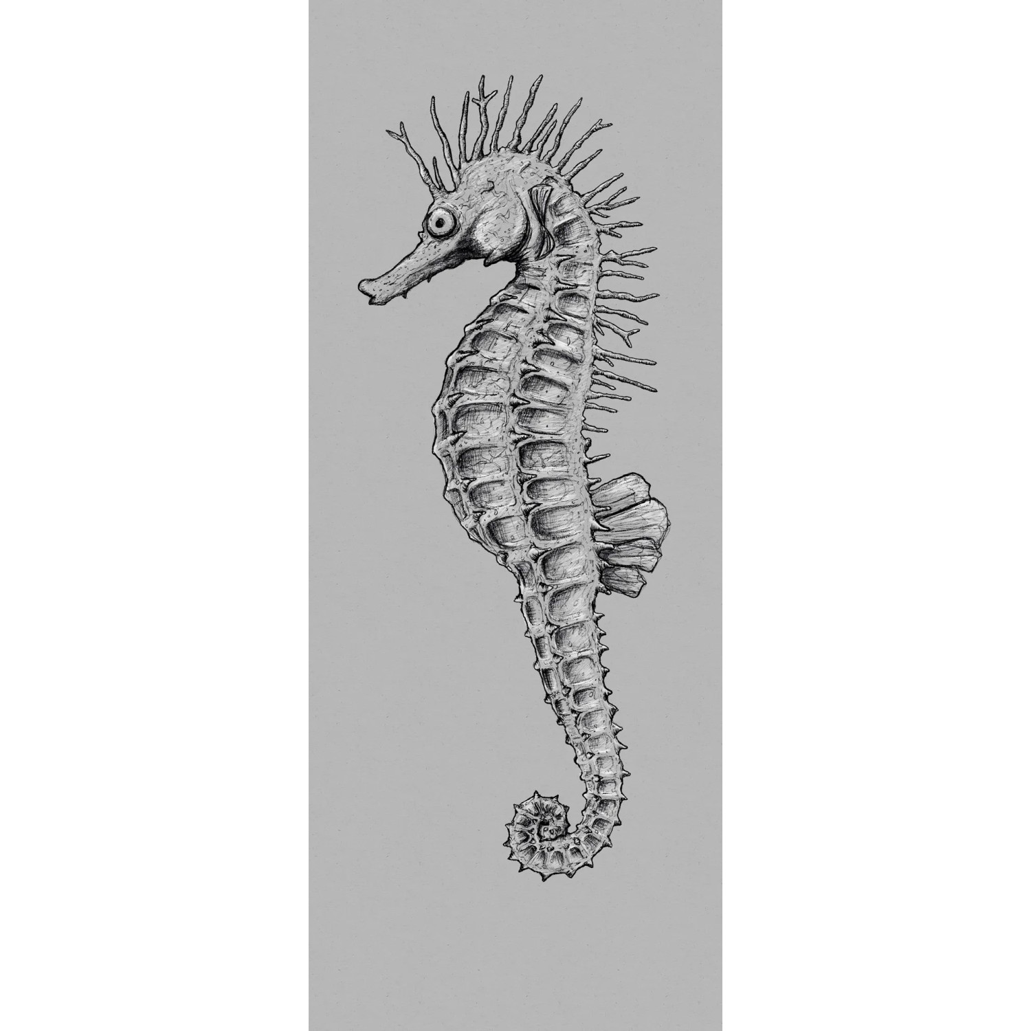 E-shop Komar Vliesová fototapeta Seahorse 100 x 250 cm