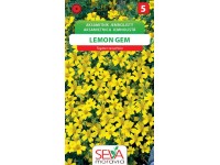 Semienka Aksamietnica jemnolistá Lemon Gem (Tagetes tenuifolia)
