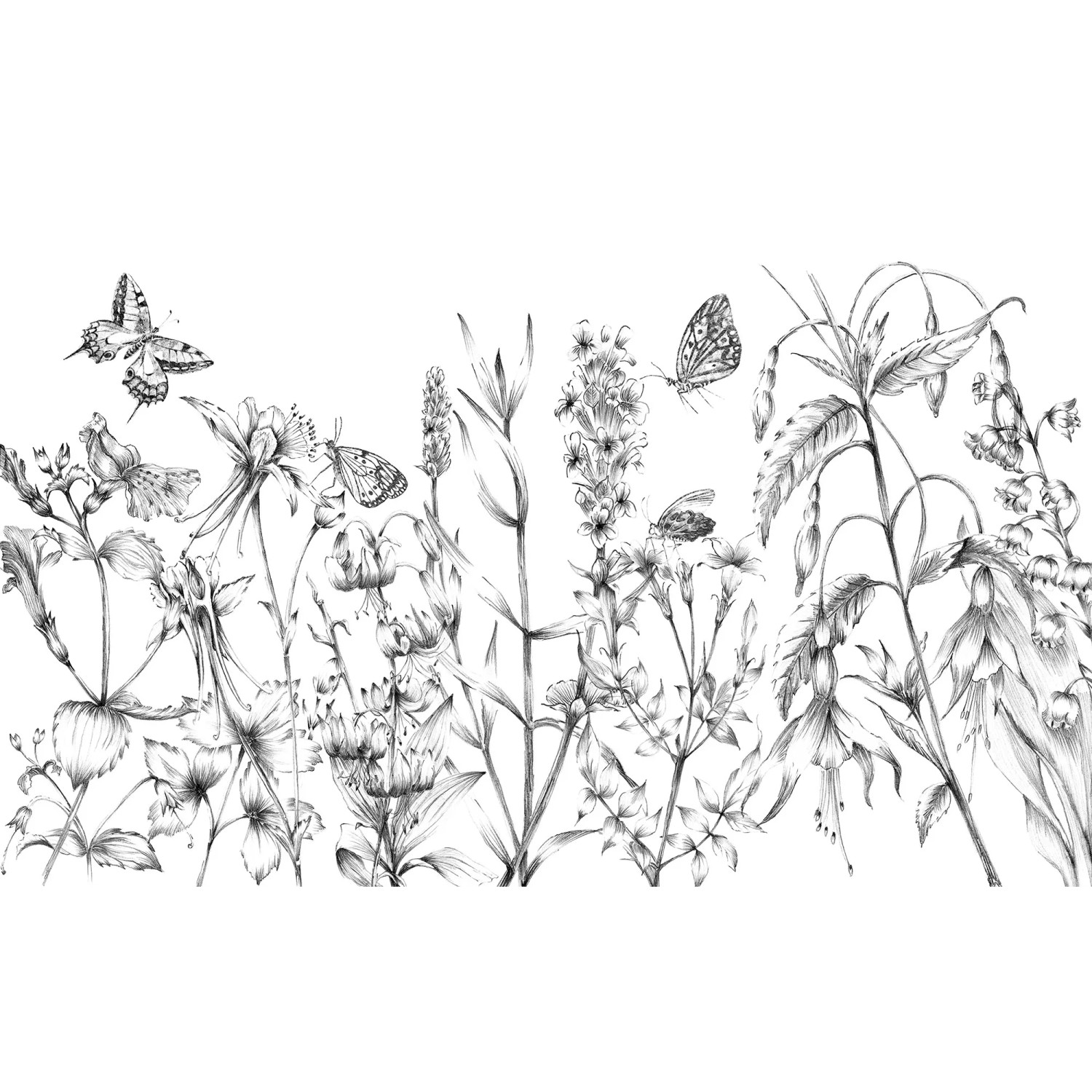 E-shop Komar Vliesová fototapeta Butterfly Field 400 x 250 cm