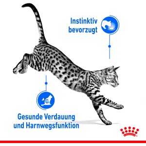 Skákajúca mačka, Royal Canin Indoor Sterilised mokré krmivo pre mačky žijúce v byte.