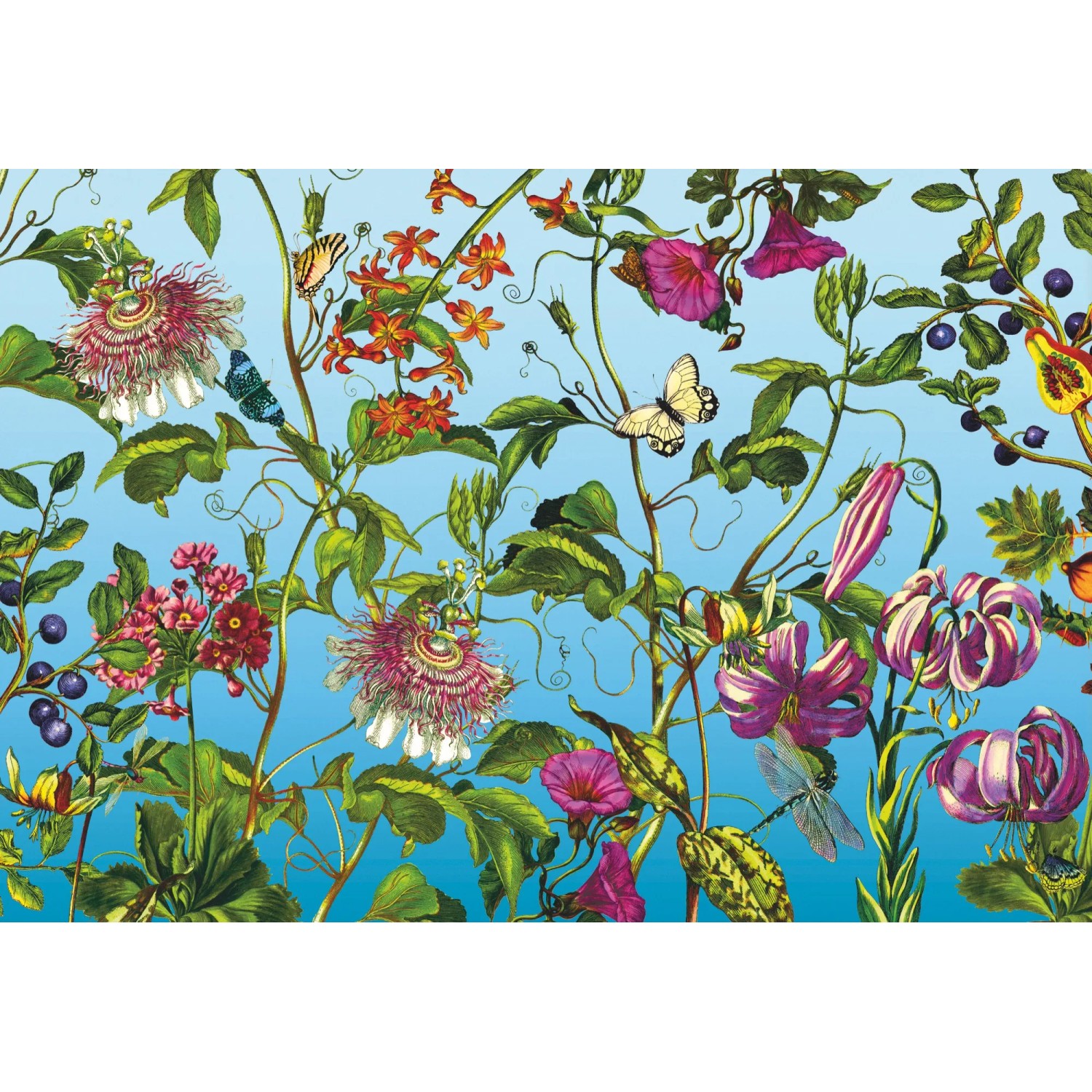E-shop Komar Vliesová fototapeta Jardin 368 x 248 cm
