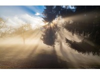 Bondecor Obraz, tlačené plátno Západ slnka 70 x 110 cm