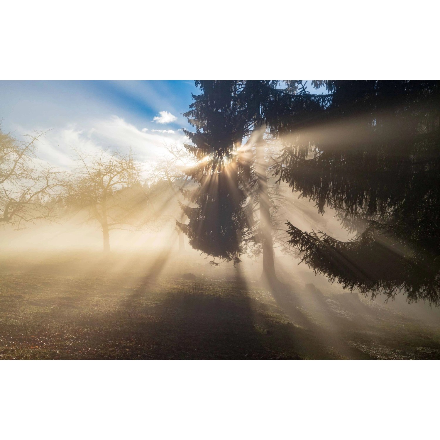 E-shop Bondecor Obraz, tlačené plátno Západ slnka 70 x 110 cm