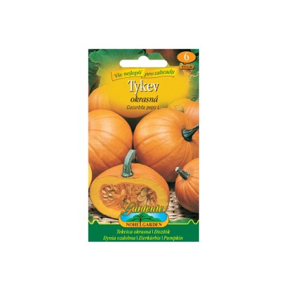 Gardenie Tekvica okrasná guľatá oranžová