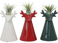 Aranžmán tilandsia v keram. kvetináči v podobe soba, rôzne druhy, pr. kv. 6 cm