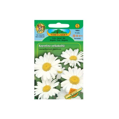 Margaréta veľkokvetá biela