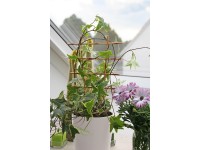 OBI mriežka na kvety 77 cm béžová, 2 ks