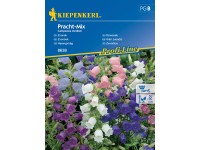 Kiepenkerl Semienka Zvonček Pracht mix