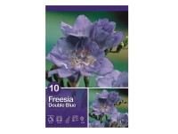 Hľuzy kvetov rôzne