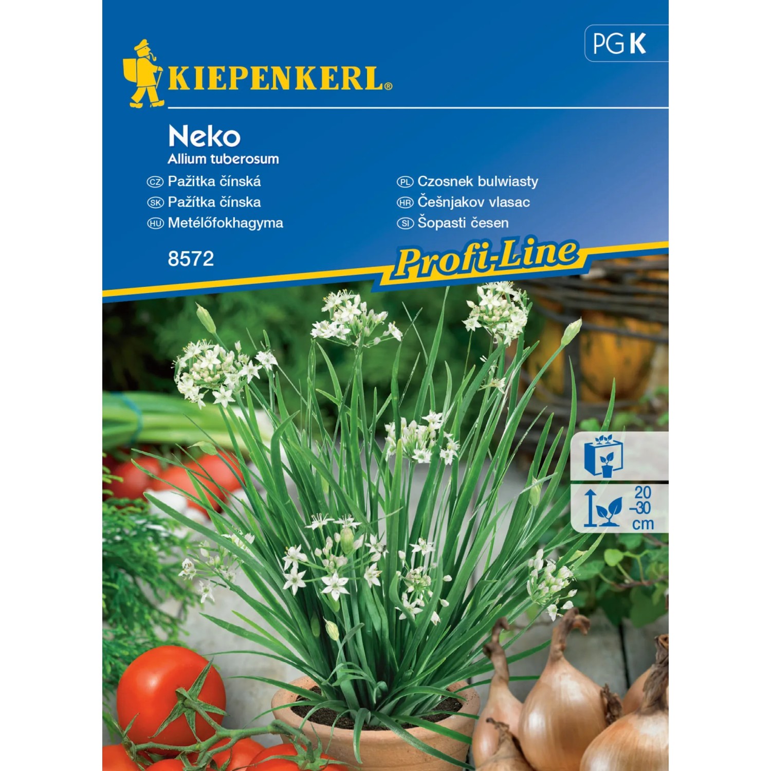 E-shop KIEPENKERL Pažítka čínska (Allium tubersoum) Neko
