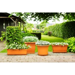 Kvetináče Florus Mediterran antracitovej farby v rôznych veľkostiach s rastlinami v záhrade.