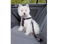 Jollypaw Postroj do auta S 30 - 60 cm
