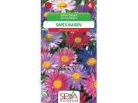 Semienka Astra čínska, zmes farieb (Callistephus chinensis)