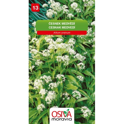 Osiva Moravia Semienka Cesnak medvedí