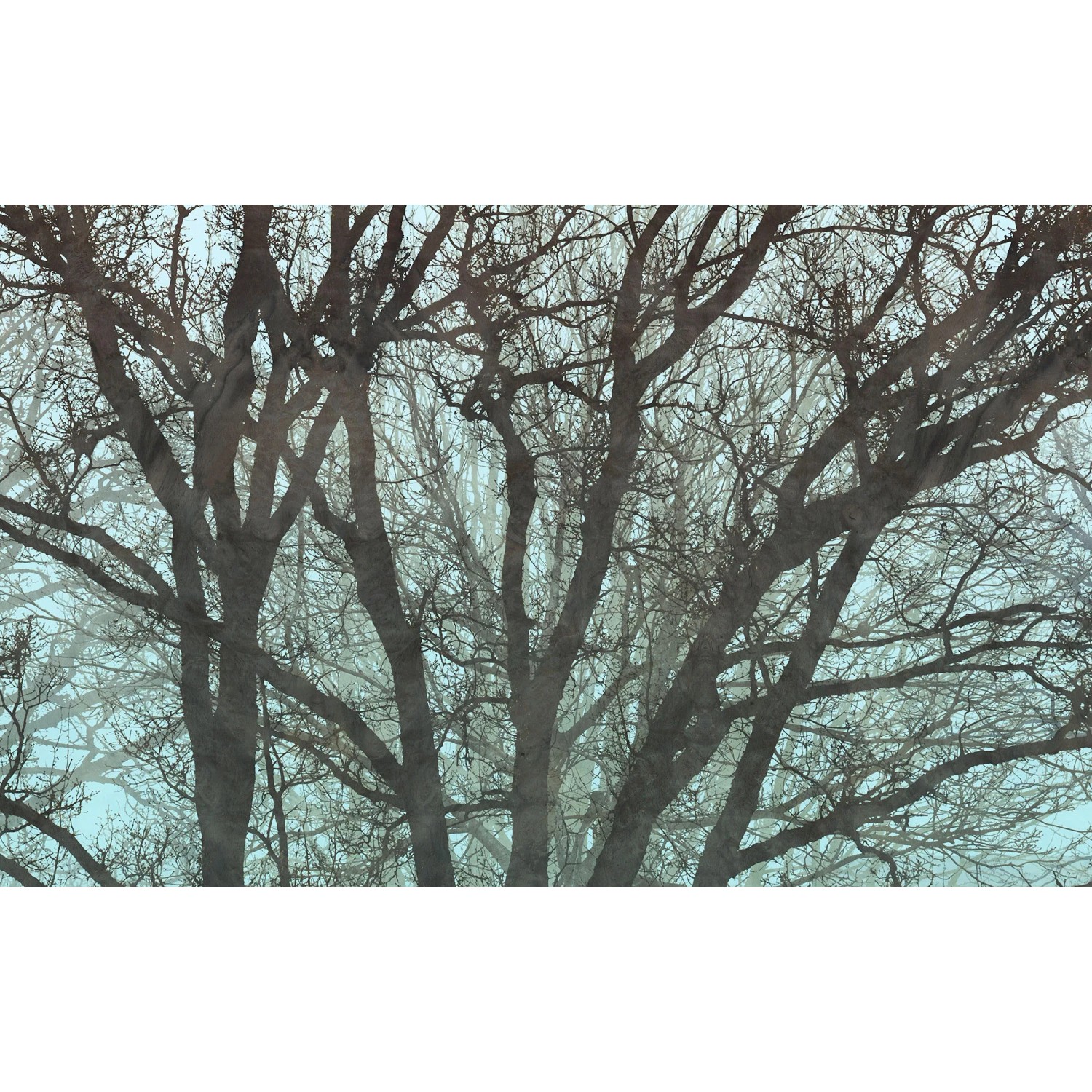 E-shop Komar Vliesová fototapeta Whispering Woods, 400 x 250 cm