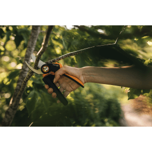 Záhradné nožnice Fiskars X-series 961-L strihajú konár v záhrade.