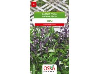 Osiva Moravia Semienka Bazalka pravá Thai (Ocimum basilicum)