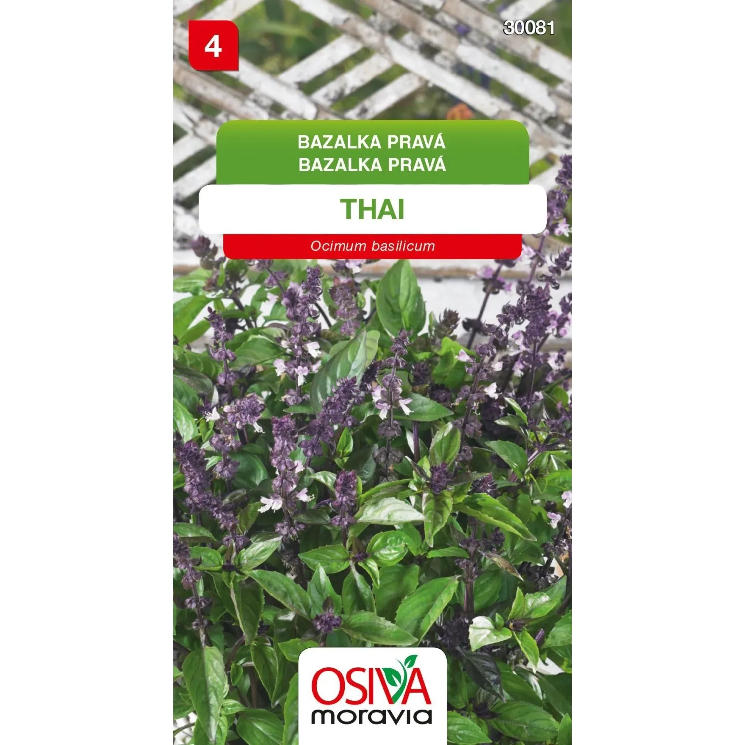 E-shop Osiva Moravia Semienka Bazalka pravá Thai (Ocimum basilicum)