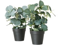 Boltze Umelá rastlina v kvetináči eukalyptus rôzne druhy pr. 12 x 30 cm