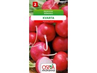 Semienka Reďkovka Kvarta (Raphanus sativus)