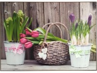 Bondecor Obraz Putframe Flora 50 x 70 cm