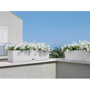 Biely kvetináč Lechuza Balconera Cottage 80 so zavlažovacím systémom a bielymi kvetmi.