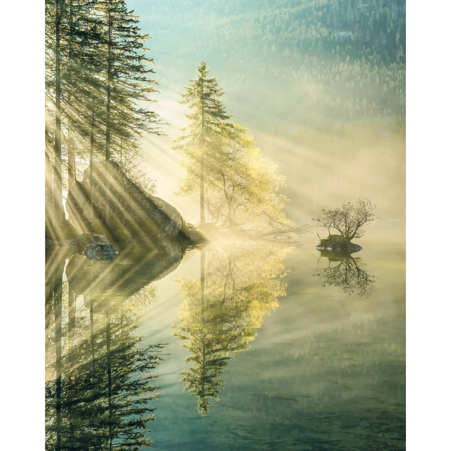 E-shop Komar Vliesová fototapeta Indulgence of Beauty 200 x 250 cm