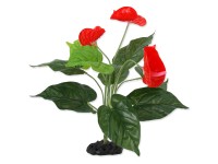 Repti Planet Rastlina kvitnúca Anthurium 40 cm