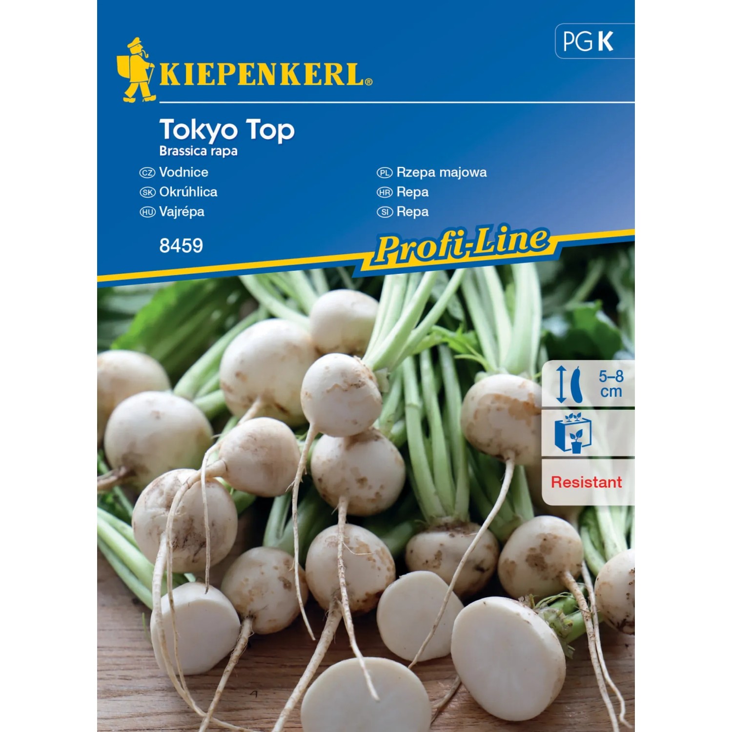 E-shop KIEPENKERL Vodnica (Brassica rape) Tokyo Top, F1