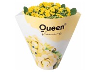 GROW by OBI Kolopejka vďačná (Kalanchoe) dvojkvetá žltá 20-25 cm pr. 105 cm