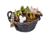 Jarný kvetinový aranžmán v šedom košíku, pr. kv. cca 24 cm