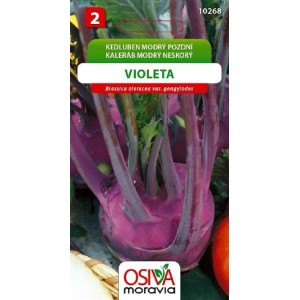 Balíček semien fialovej kalerábu 'Violeta', semená zeleniny do záhrady.