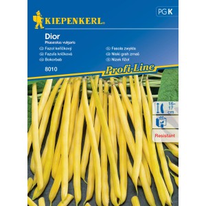 Balíček semien žltých kríčkových fazule 'Dior' od Kiepenkerl, odolné, dĺžka 16-17 cm.