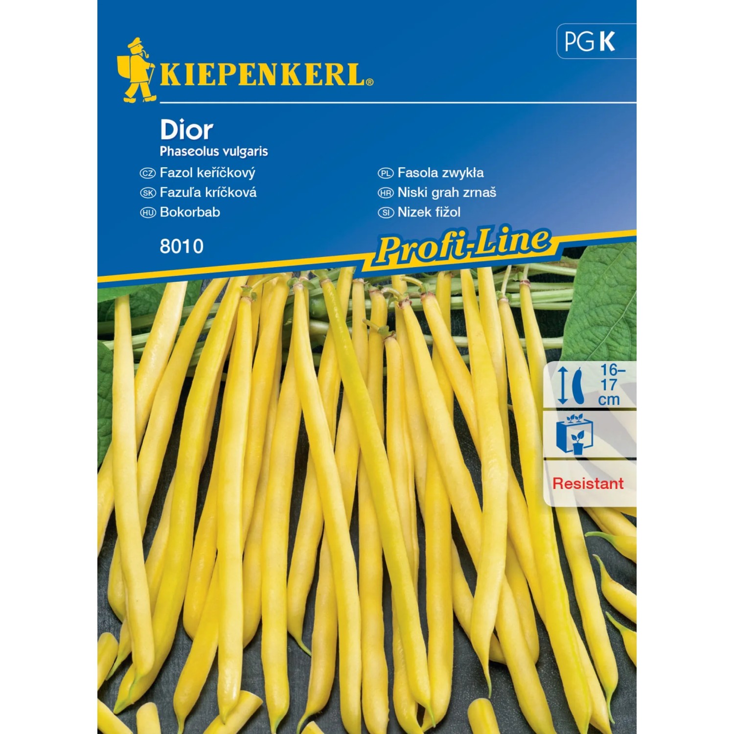 E-shop Kiepenkerl Semienka Fazuľa kríčková Dior