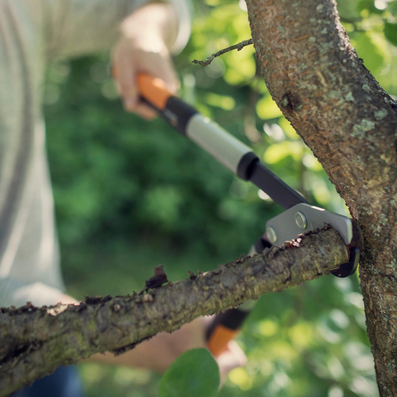 E-shop FISKARS Dvojčepeľ. nožnice na silné vetvy s prevodom PowerGear X LX94 (M), 64 cm