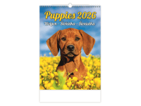 Helma 365 Nástenný kalendár Šteniatka 2026